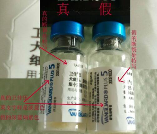 如何辨別輝瑞衛(wèi)佳疫苗真假？(圖3)