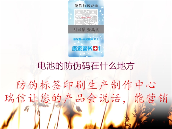 電池的防偽碼在什么地方(圖1) 電池的防偽碼在什么地方1.jpg