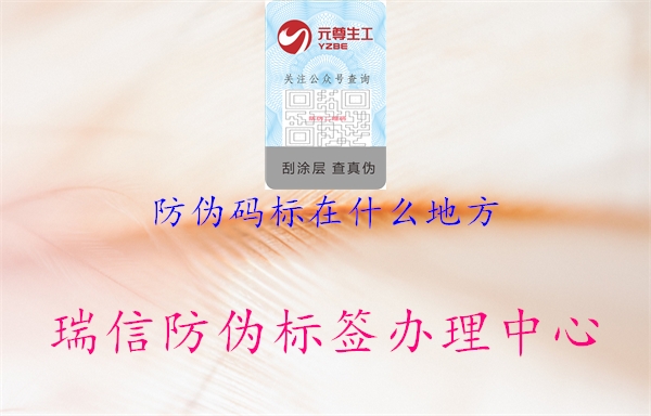 防偽碼標(biāo)在什么地方(圖2) 防偽碼標(biāo)在什么地方2.jpg