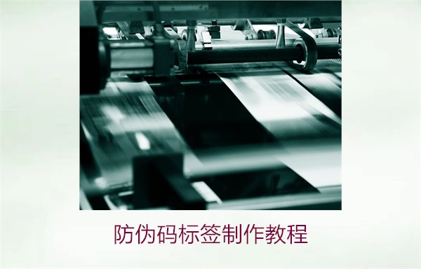 防偽碼標(biāo)簽制作教程(圖2) 防偽碼標(biāo)簽制作教程2.jpg