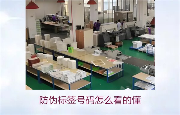 防偽標(biāo)簽號(hào)碼怎么看的懂？詳細(xì)解析防偽標(biāo)簽號(hào)碼的識(shí)別方法與技巧(圖2)