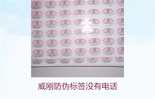威剛防偽標(biāo)簽沒(méi)有電話，如何通過(guò)其他方式驗(yàn)證威剛防偽標(biāo)簽的真?zhèn)?圖3)